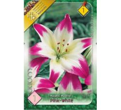 alia zijsk Pink - White 1ks/bal