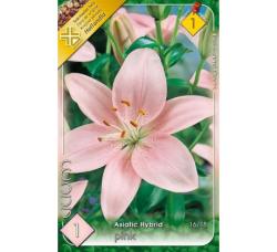 alia zijsk Pink 1ks/bal