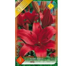 alia zijsk Red 1ks/bal