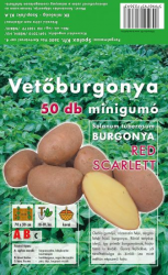 Sadbov zemiaky RED SCARLETT moren minihuzy 50 ks