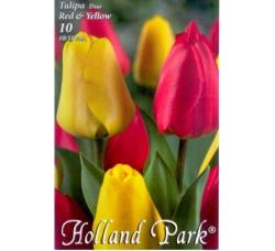 Tulipny Duo Red - Yellow 10ks/bal