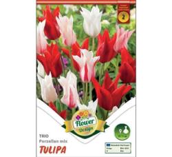 Tulipny Trio Porzellan mix 9ks/bal