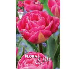 Tulipn Voque 10ks/bal